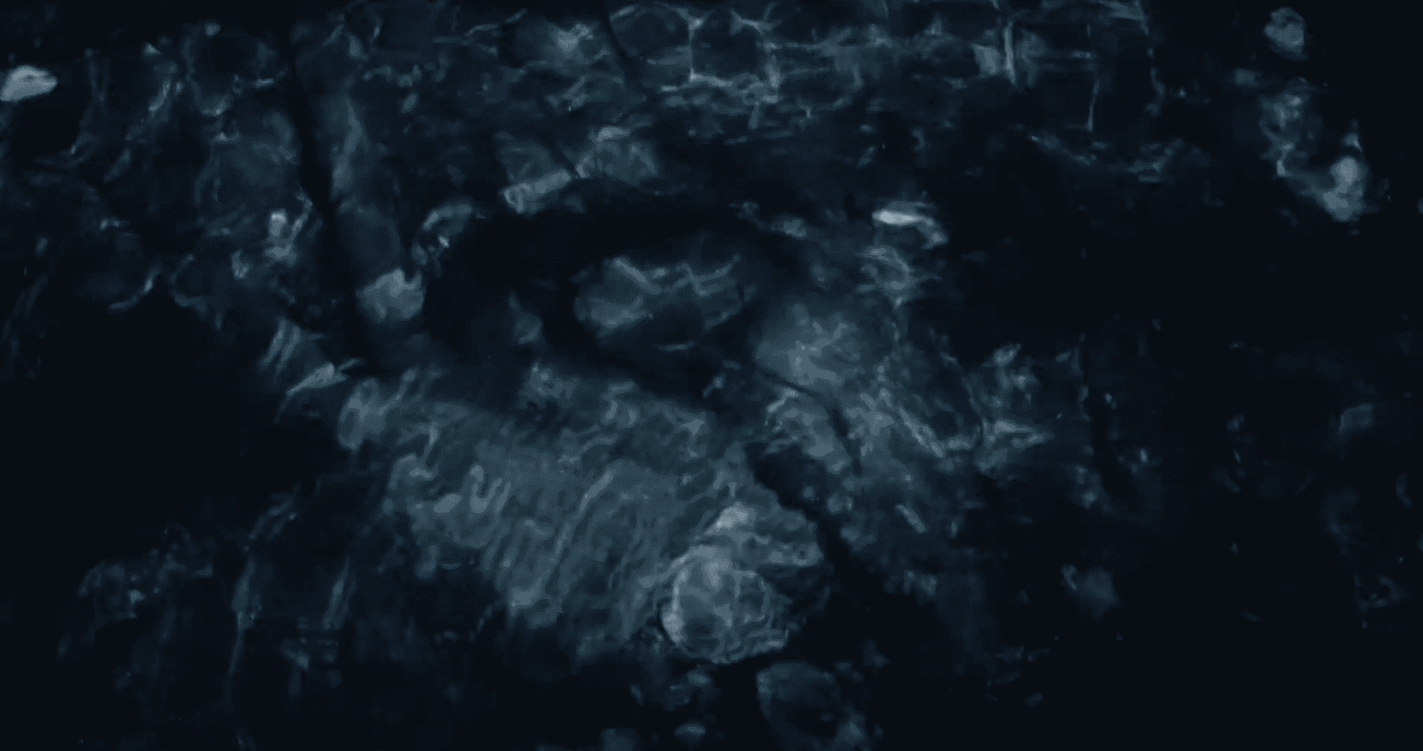 Home Griffin Poetry Prize